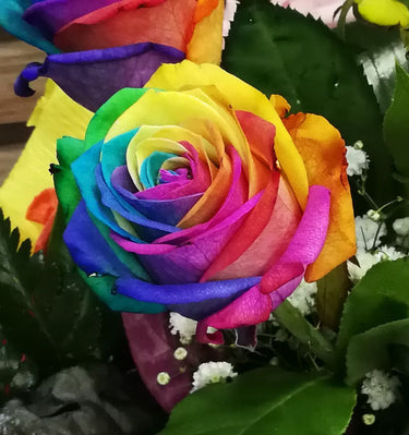 Rainbow Flowers Diamond Painting Kit - DIY Rainbow Flowers-15